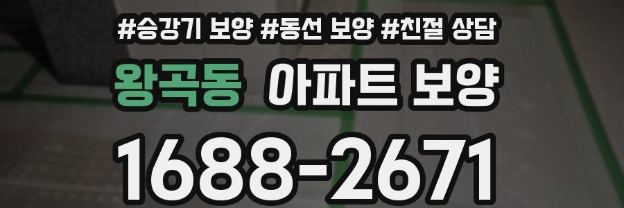 왕곡동 아파트 보양