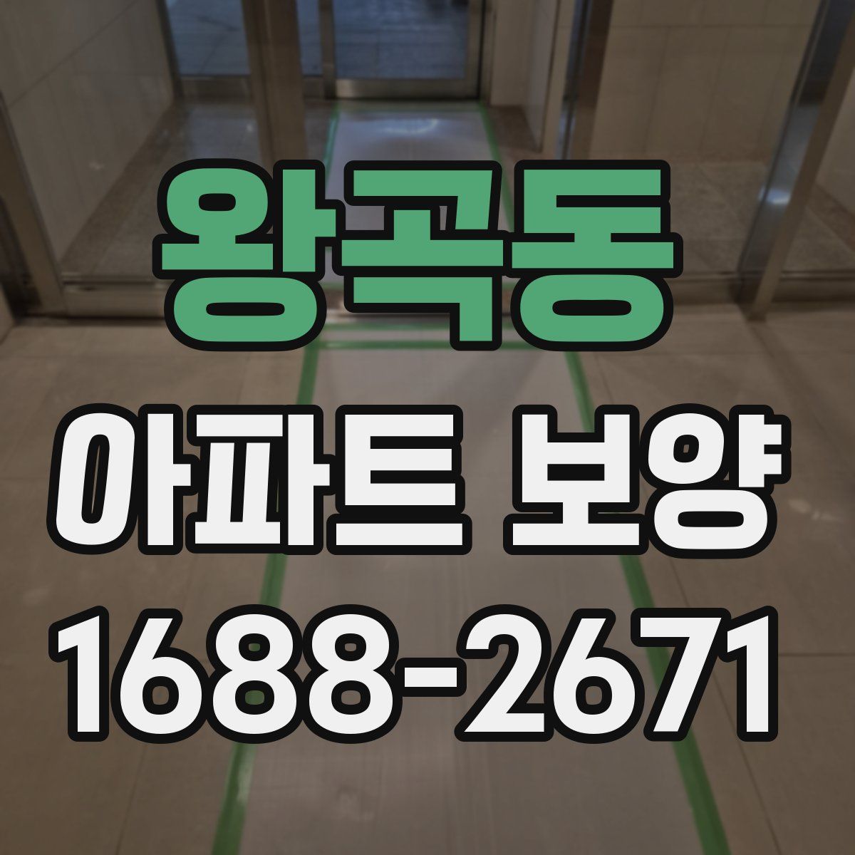 왕곡동 아파트 보양