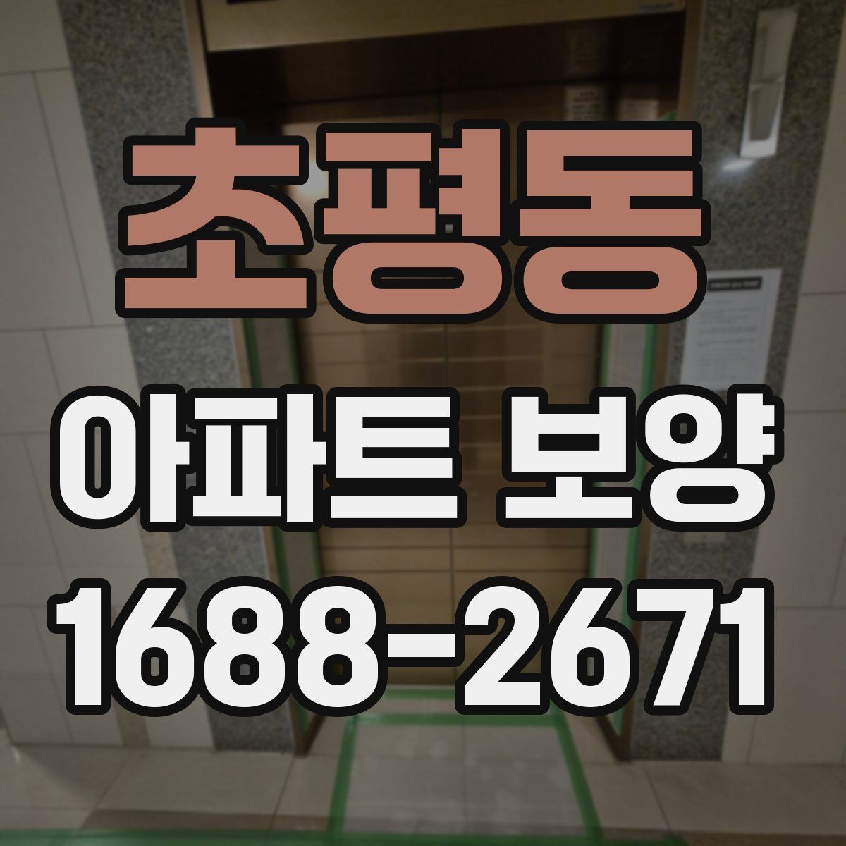 초평동 아파트 보양 현장별 관리 포인트를 다르게 잡는 법