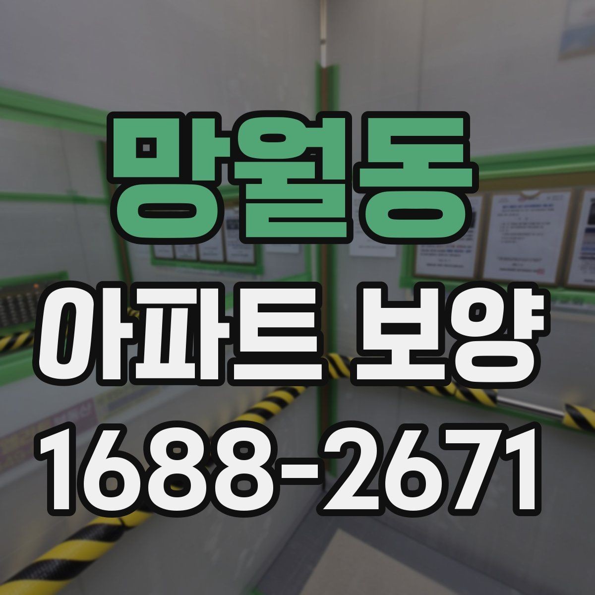 망월동 아파트 보양 자재 선택이 결과에 미치는 영향