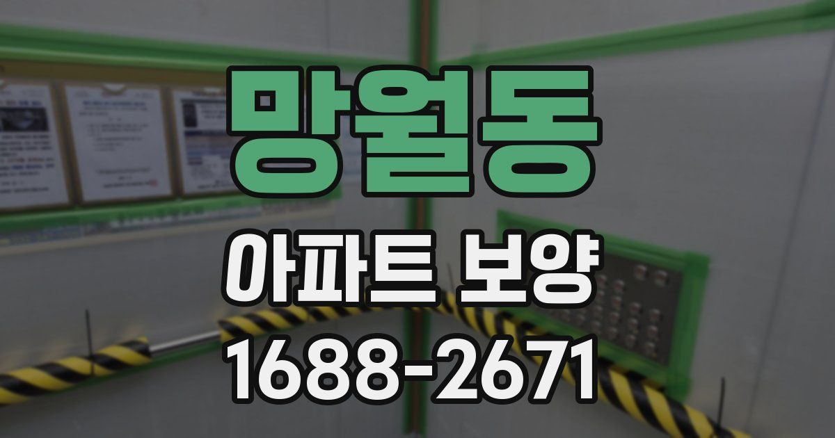 망월동 아파트 보양
