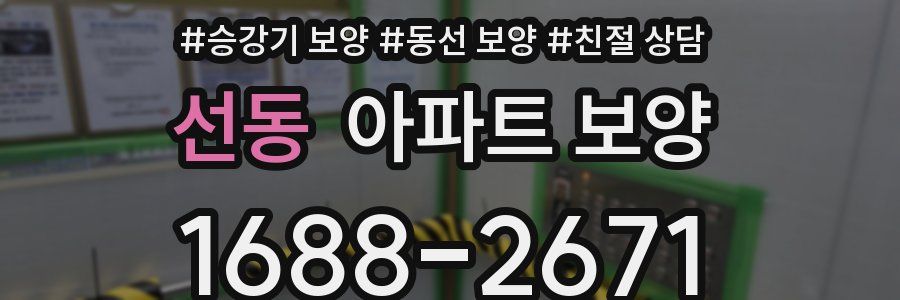 선동 아파트 보양