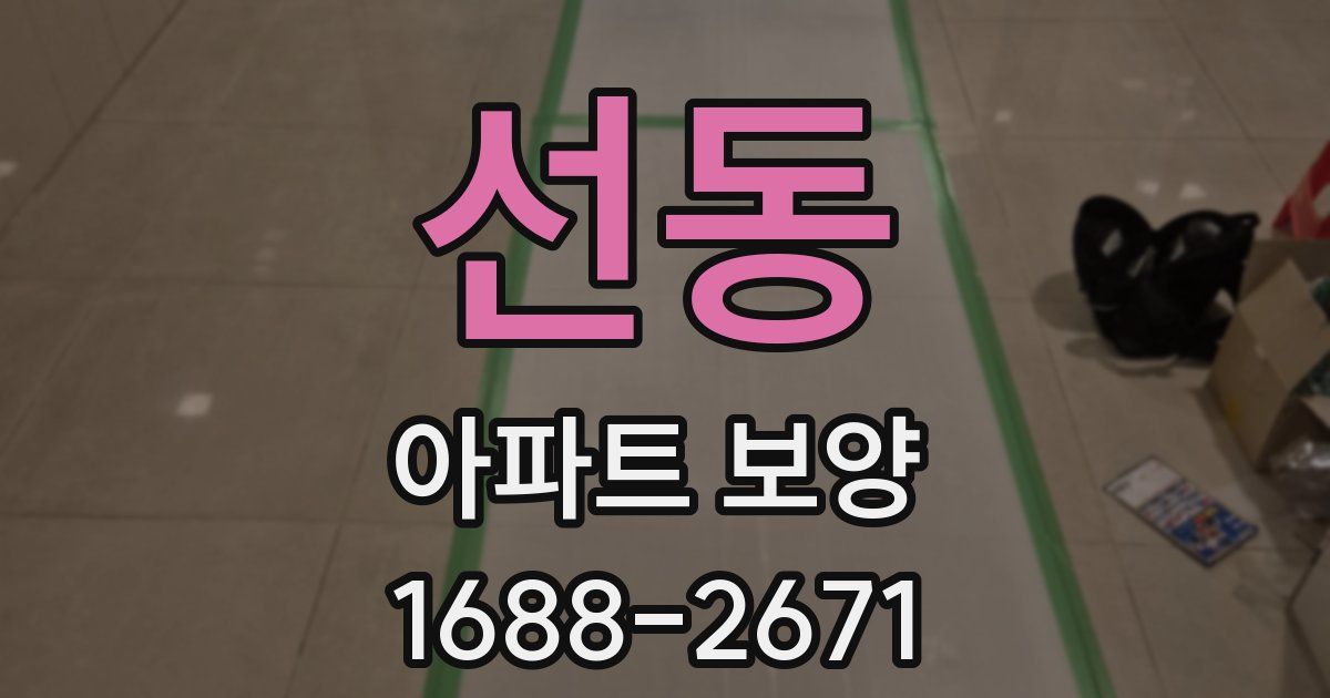 선동 아파트 보양
