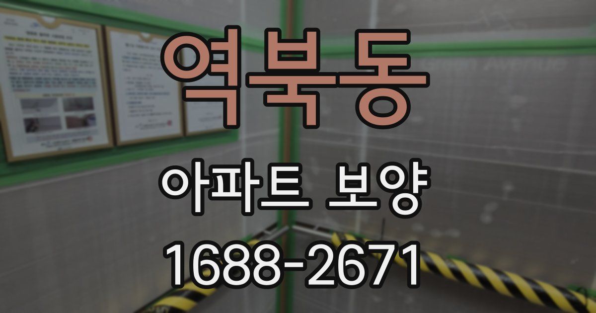 역북동 아파트 보양