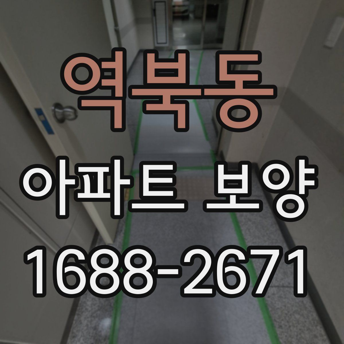 역북동 아파트 보양