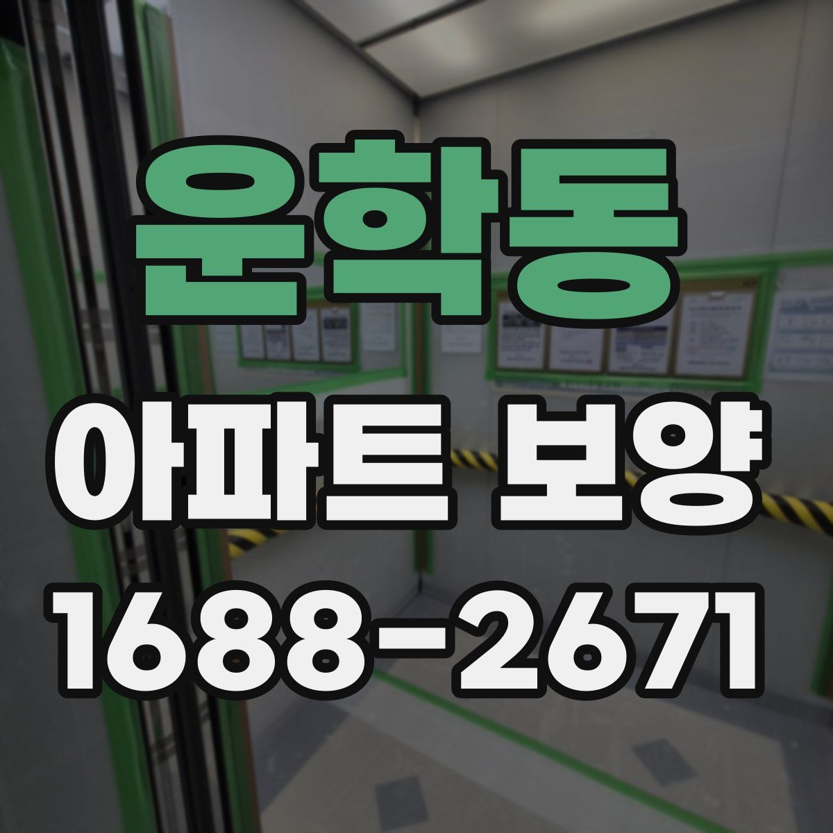 운학동 아파트 보양