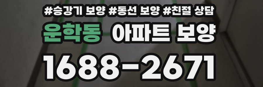 운학동 아파트 보양
