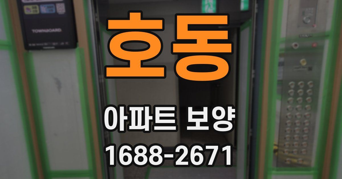 호동 아파트 보양