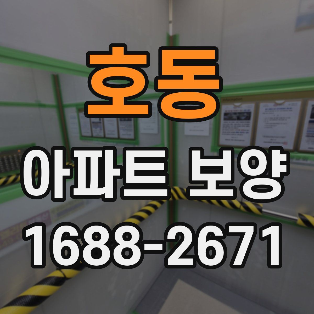 호동 아파트 보양