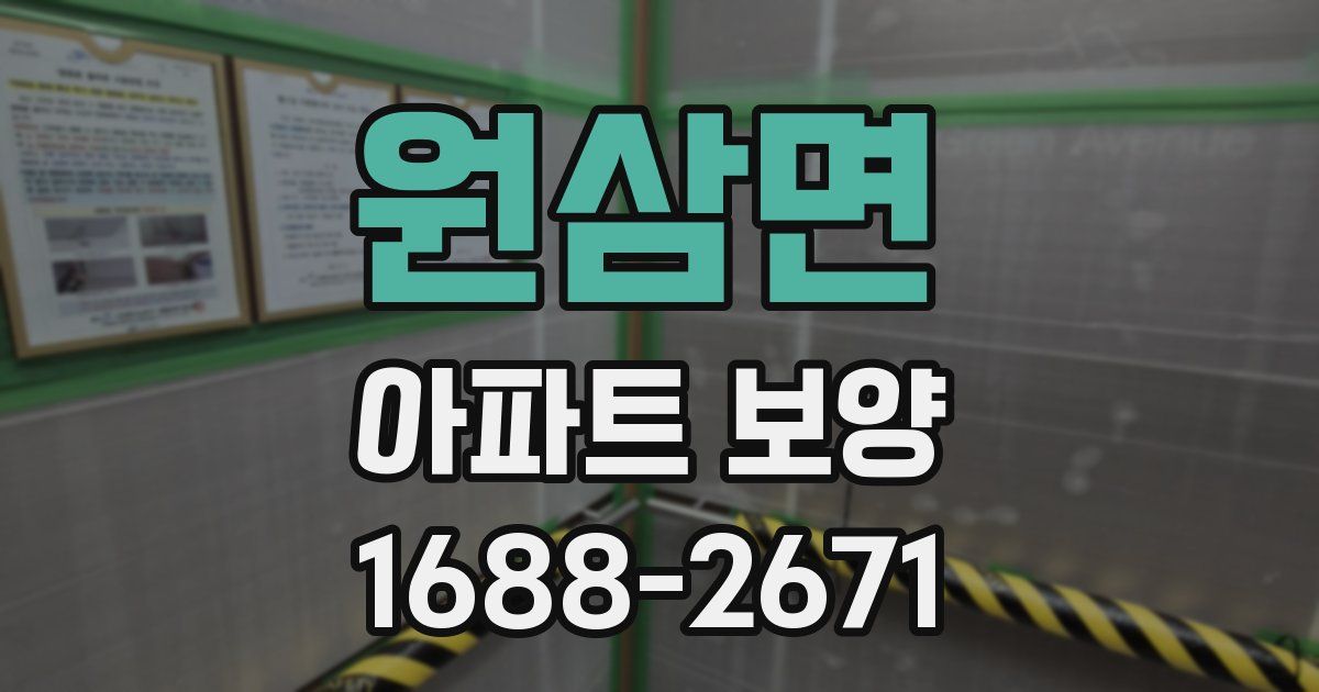 원삼면 아파트 보양
