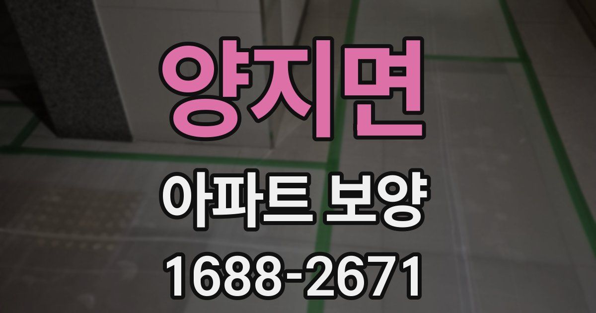 양지면 아파트 보양