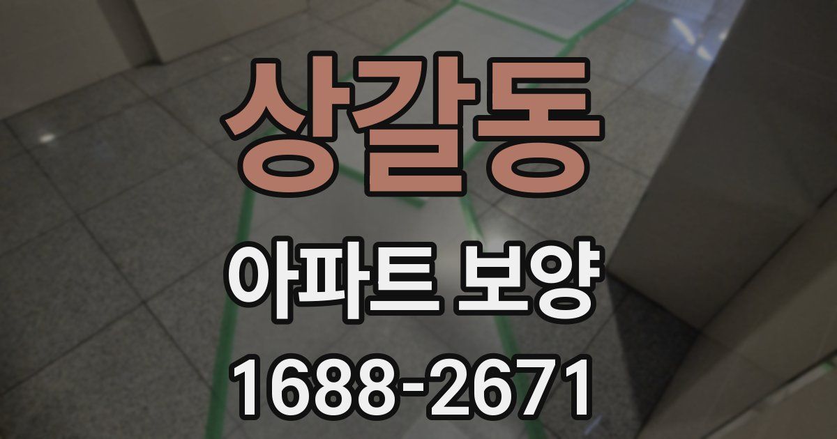 상갈동 아파트 보양