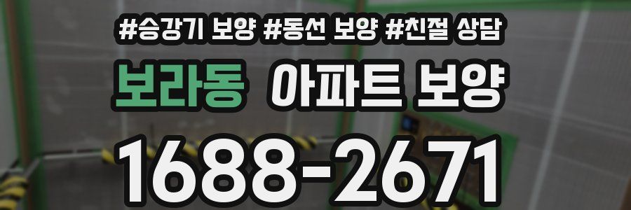 보라동 아파트 보양
