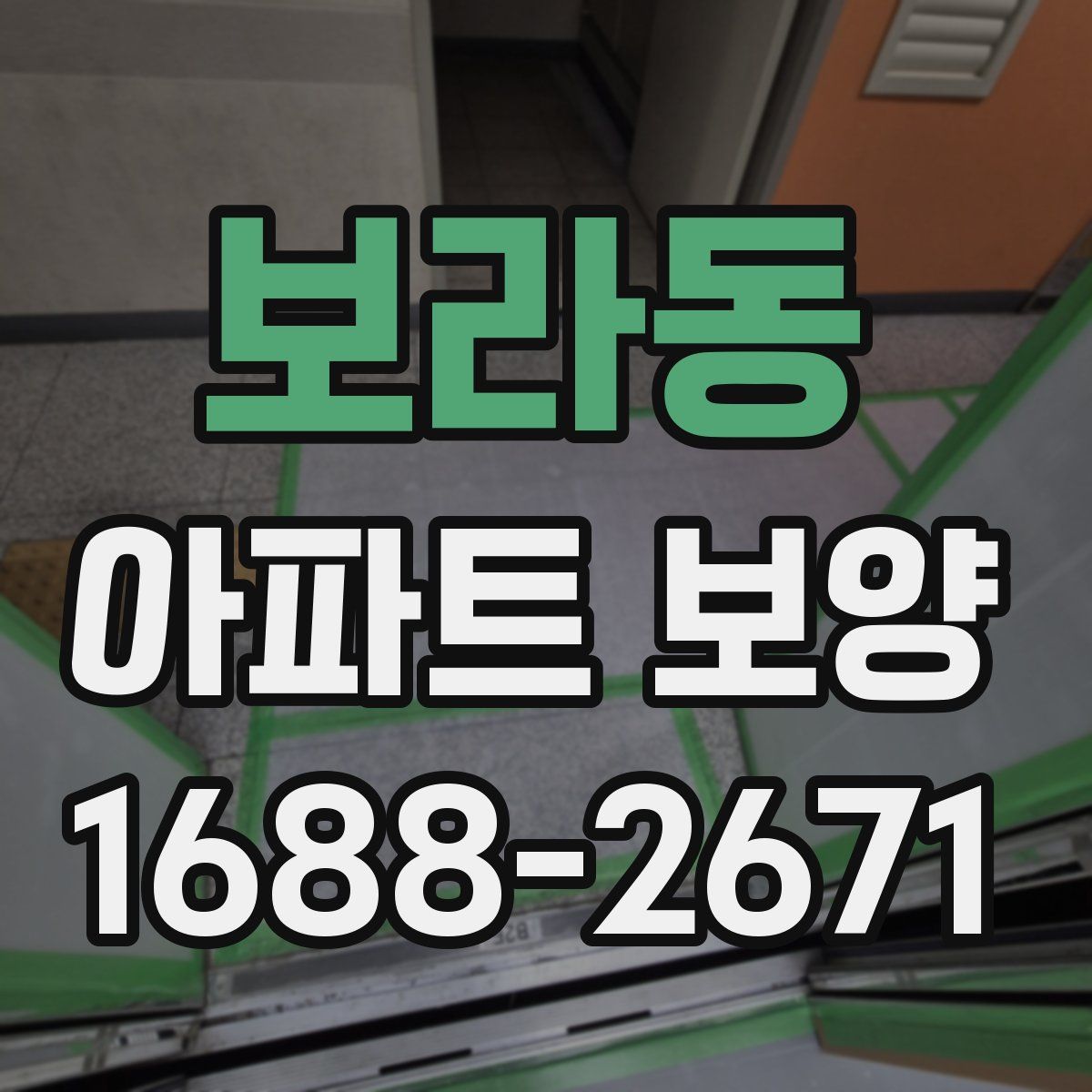보라동 아파트 보양