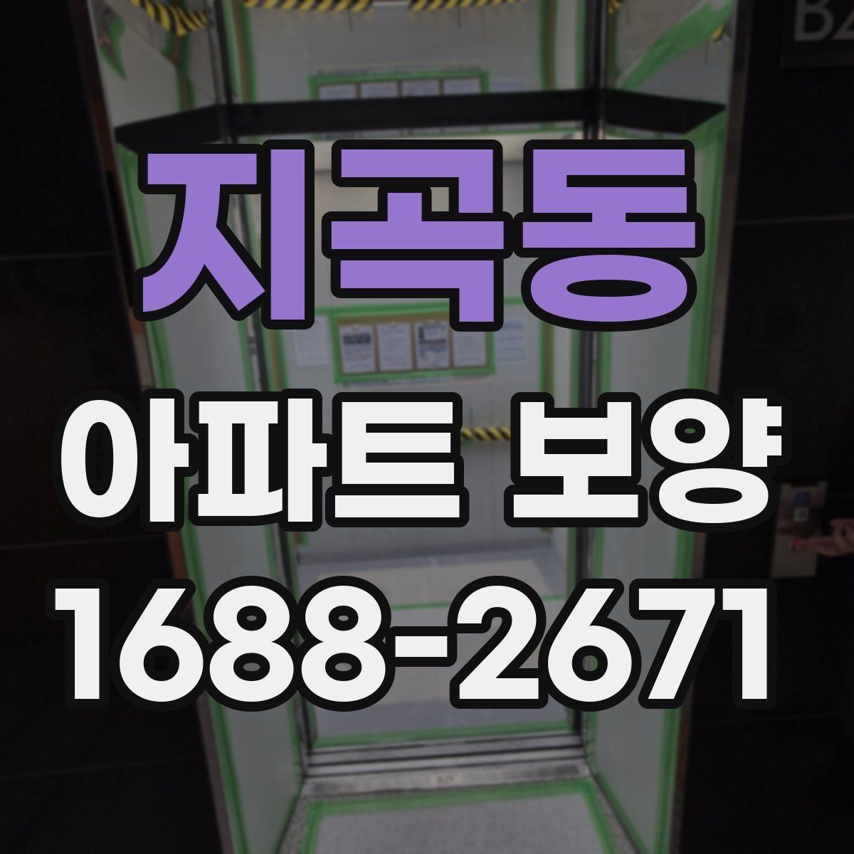 지곡동 아파트 보양