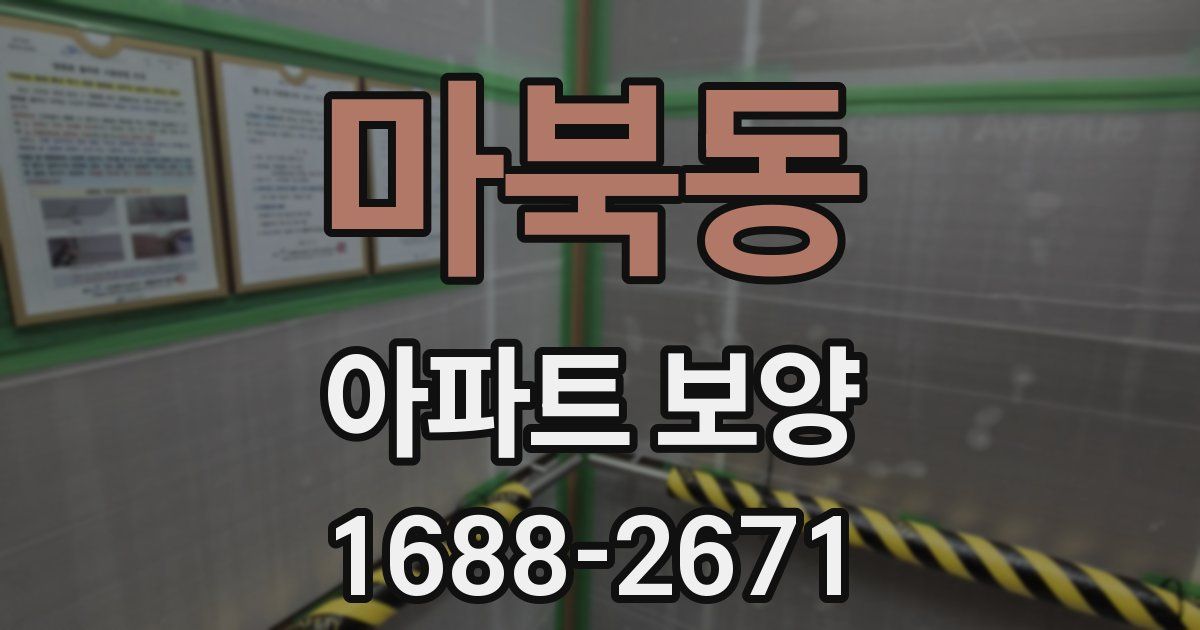 마북동 아파트 보양