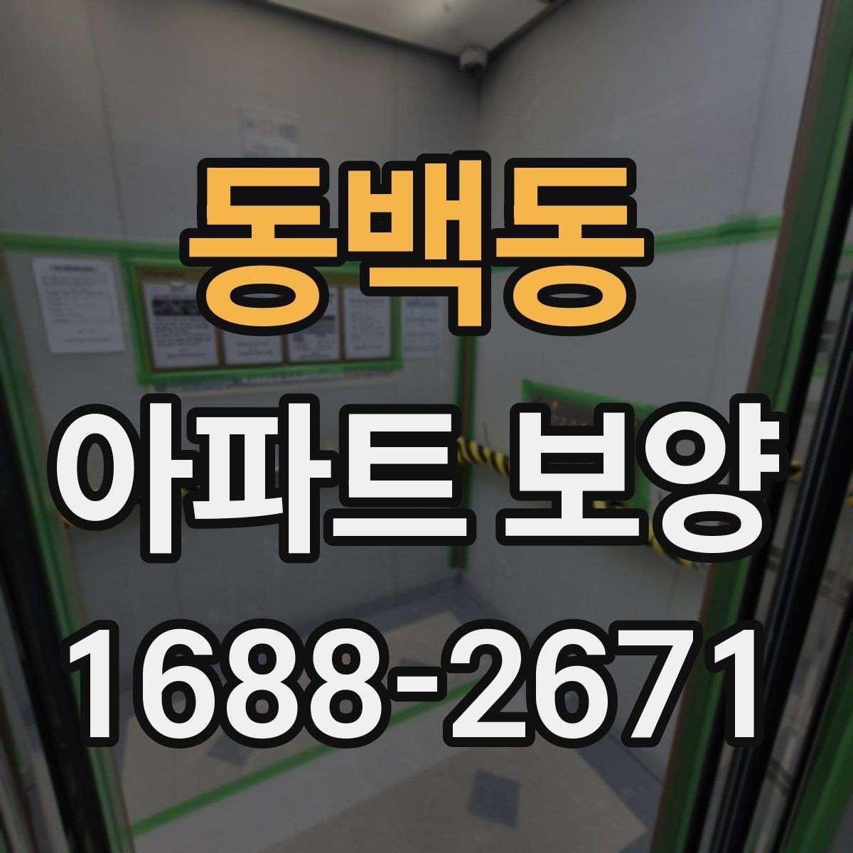 동백동 아파트 보양 작업 중 손상 방지를 위한 팁
