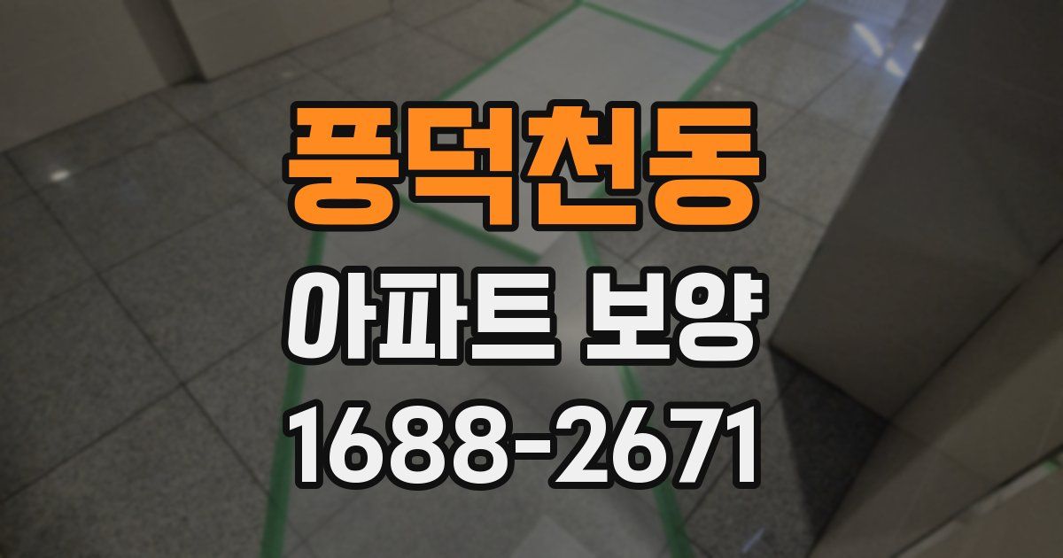 풍덕천동 아파트 보양