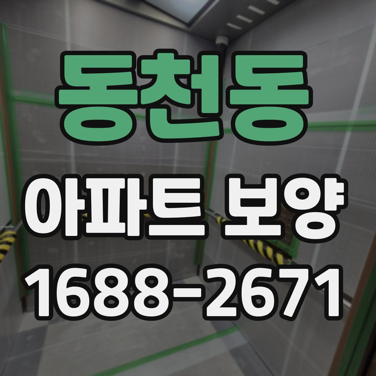 동천동 아파트 보양