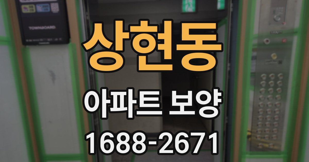 상현동 아파트 보양