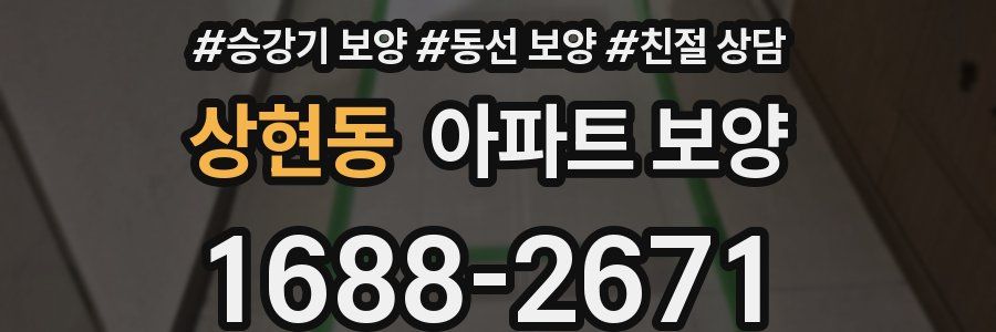 상현동 아파트 보양