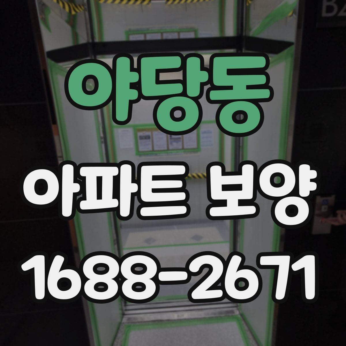 야당동 아파트 보양 시 보호 필름과 시트 활용 방법
