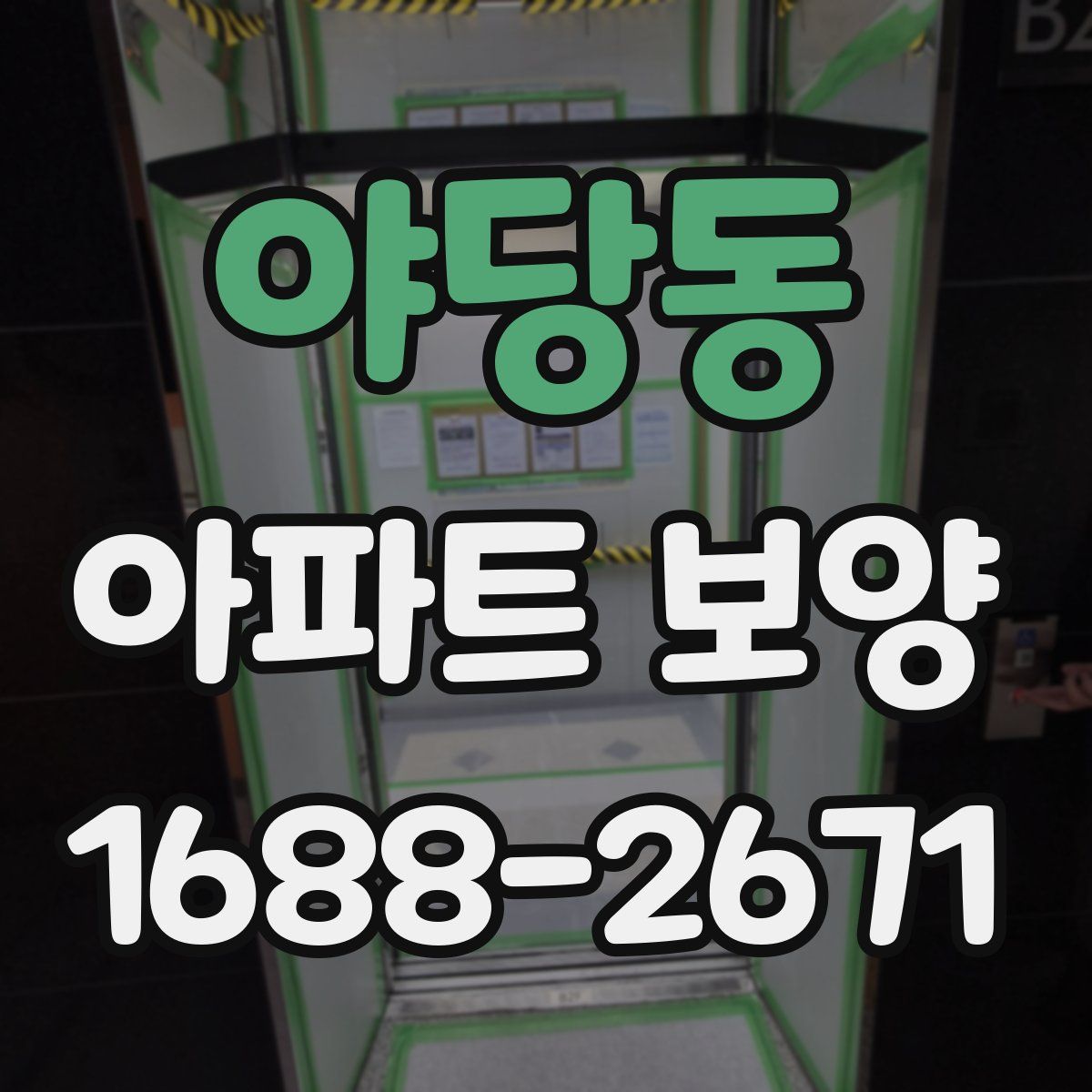 야당동 아파트 보양