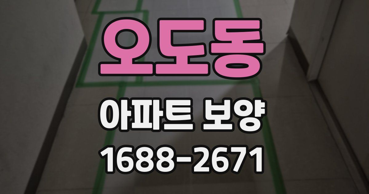 오도동 아파트 보양