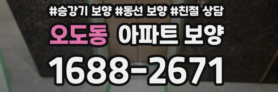 오도동 아파트 보양