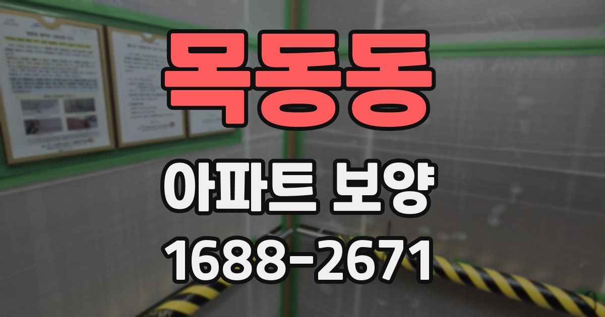 목동동 아파트 보양