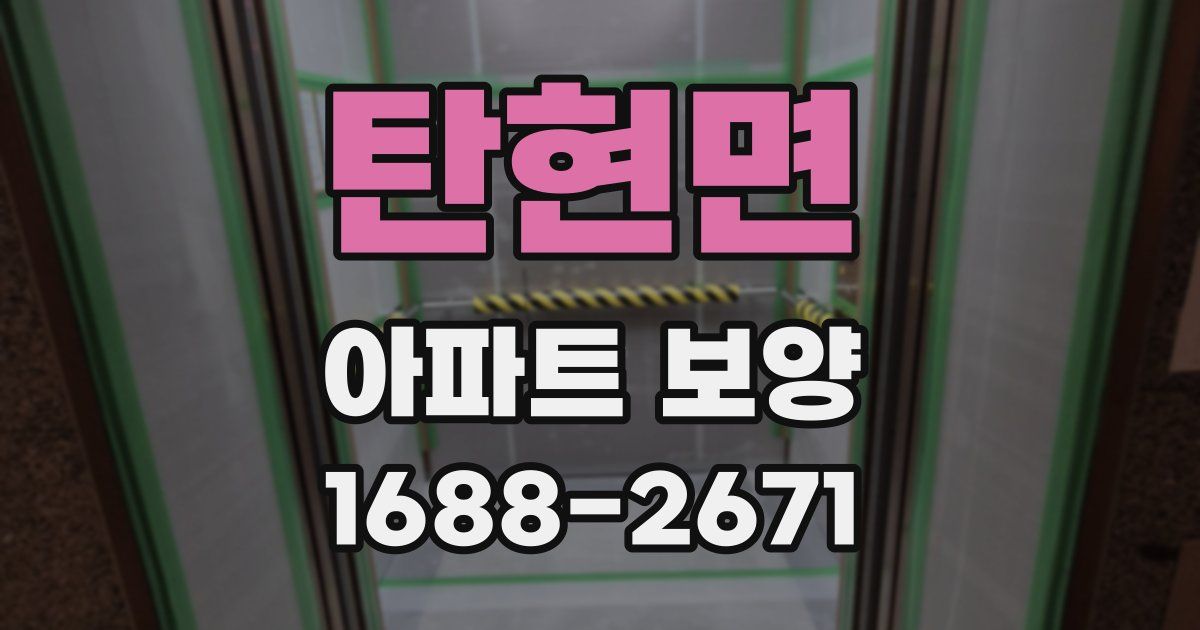 탄현면 아파트 보양