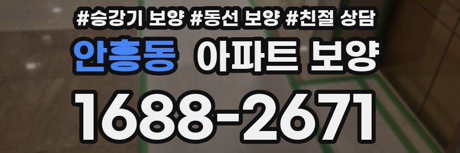 안흥동 아파트 보양