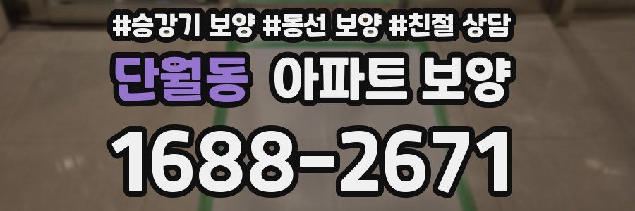 단월동 아파트 보양