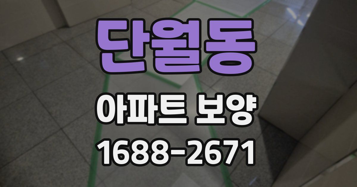 단월동 아파트 보양