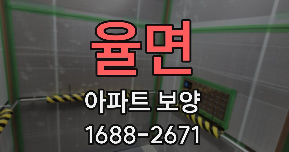 율면 아파트 보양
