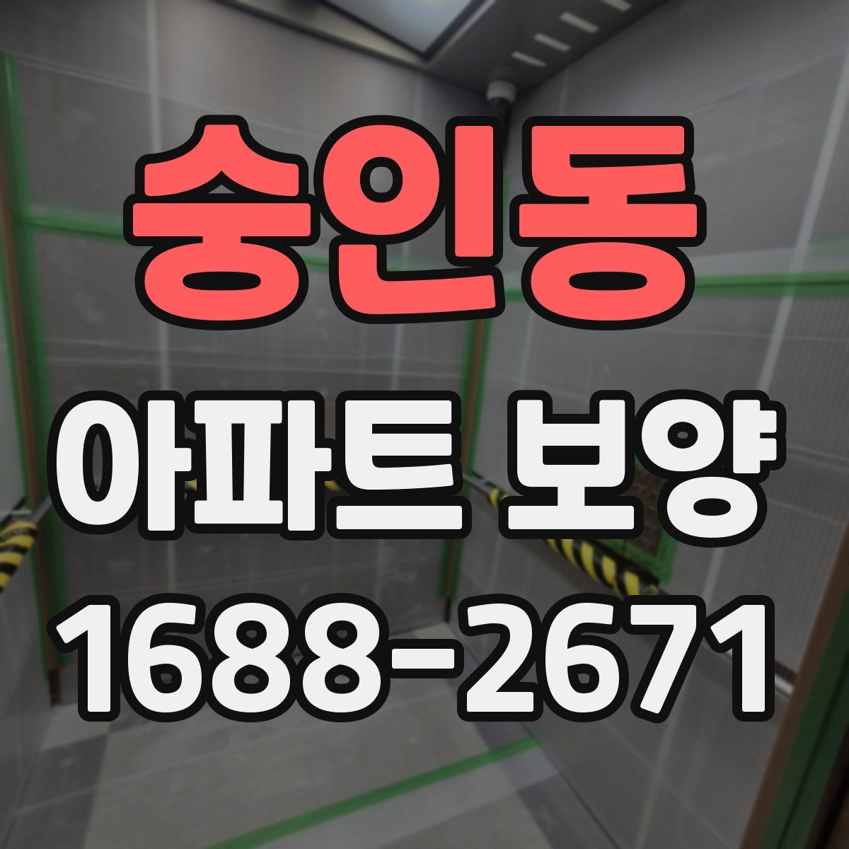 숭인동 아파트 보양