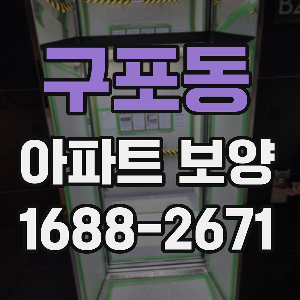 구포동 아파트 보양
