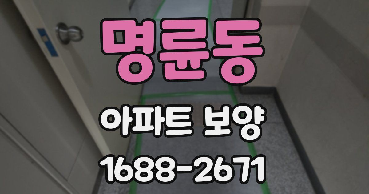 명륜동 아파트 보양