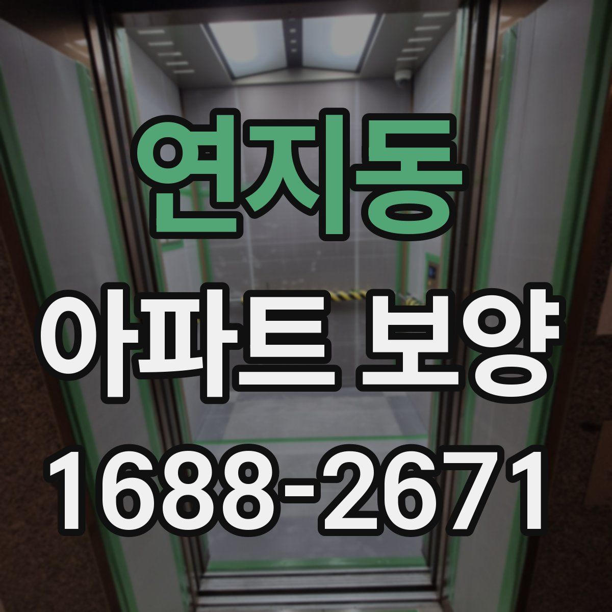 연지동 아파트 보양
