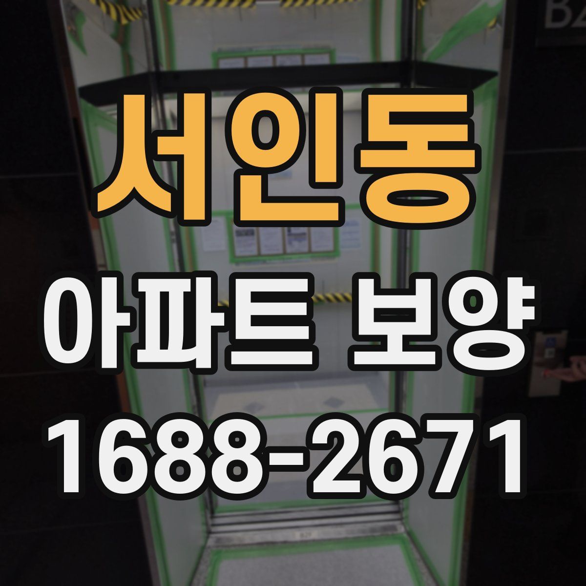 서인동 아파트 보양
