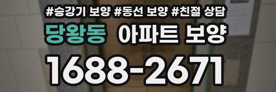당왕동 아파트 보양
