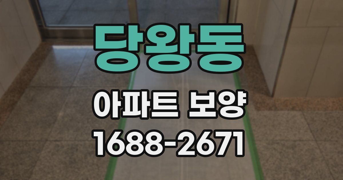 당왕동 아파트 보양