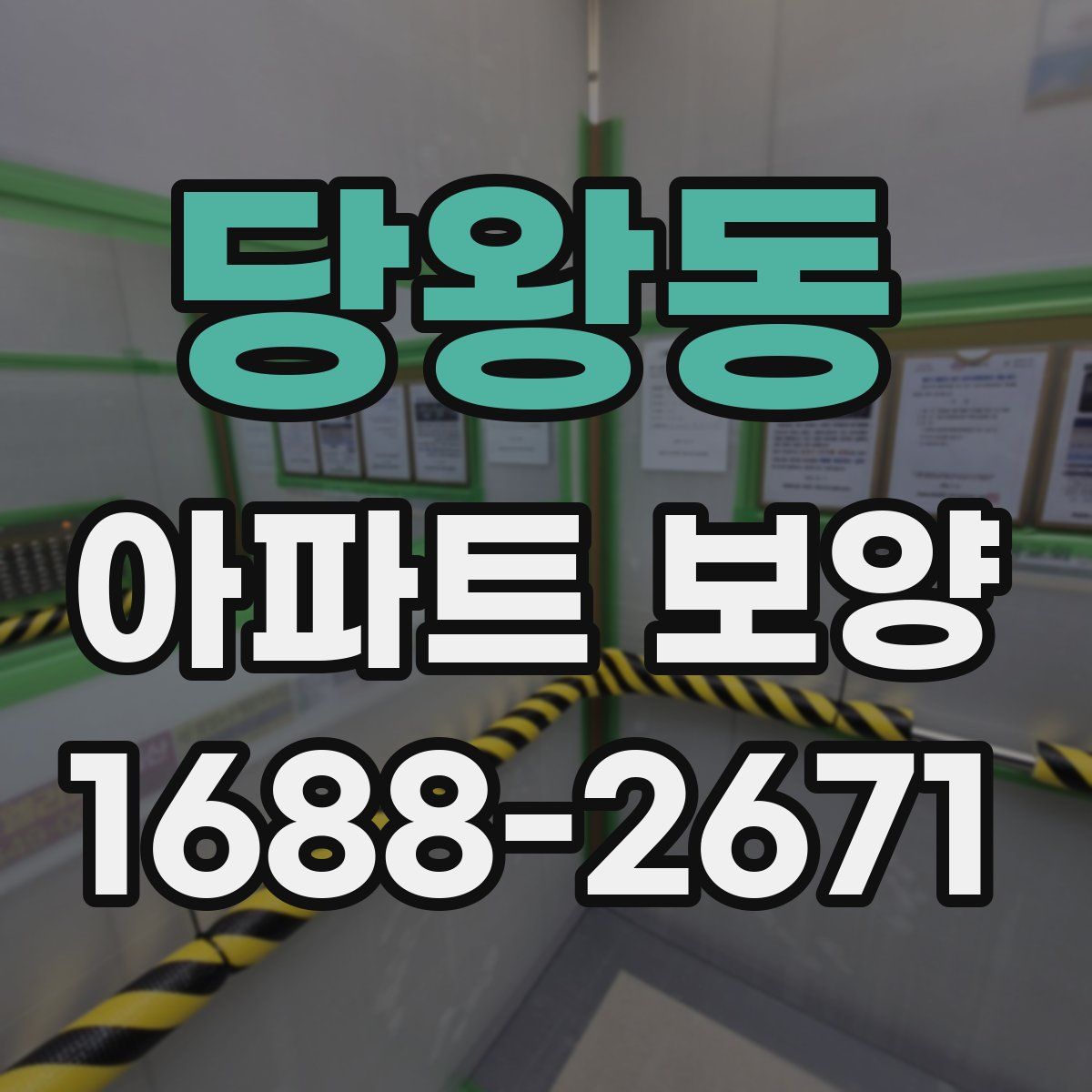당왕동 아파트 보양