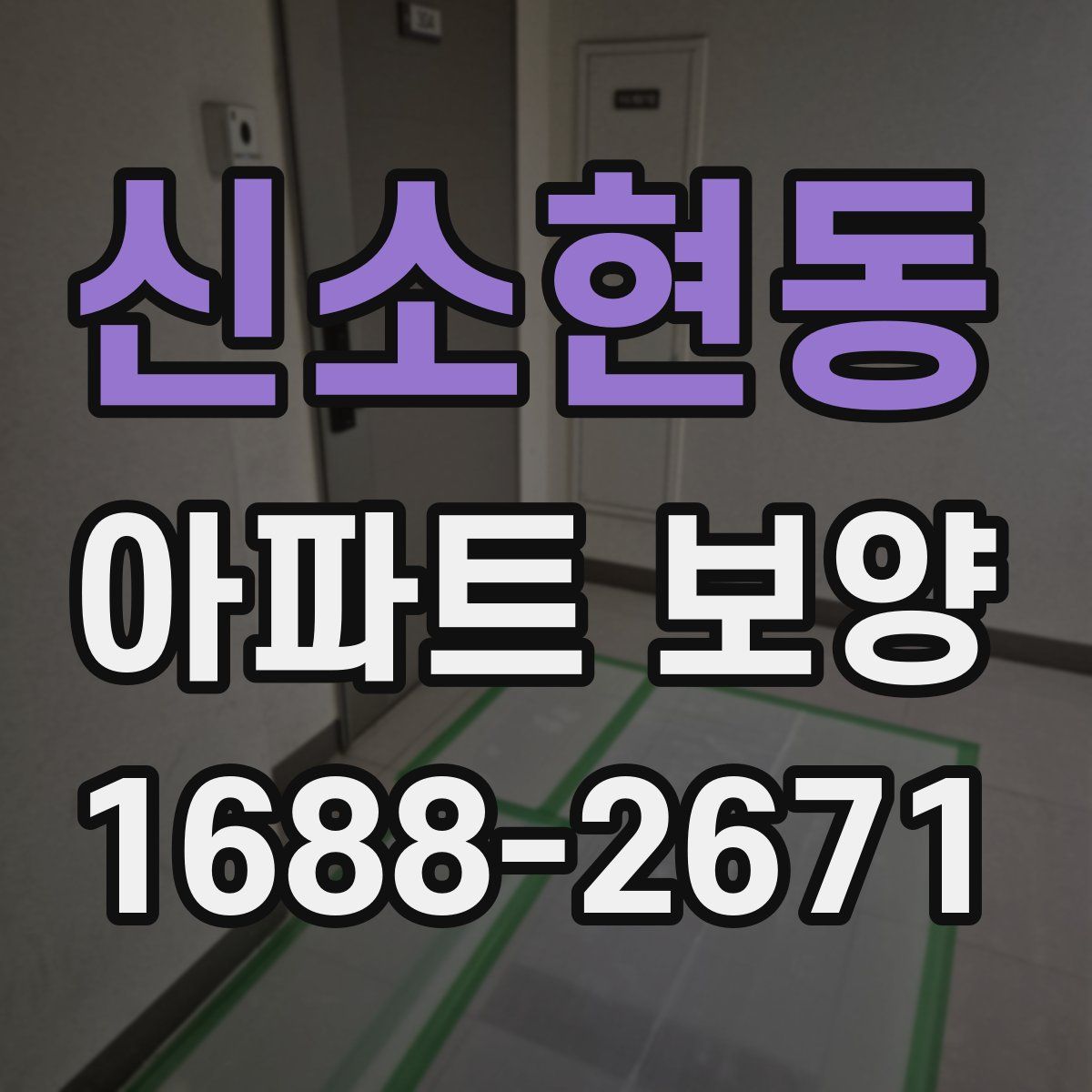 신소현동 아파트 보양