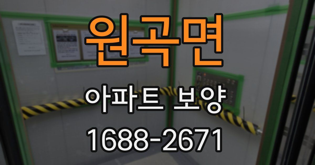 원곡면 아파트 보양
