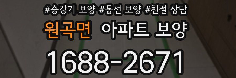 원곡면 아파트 보양