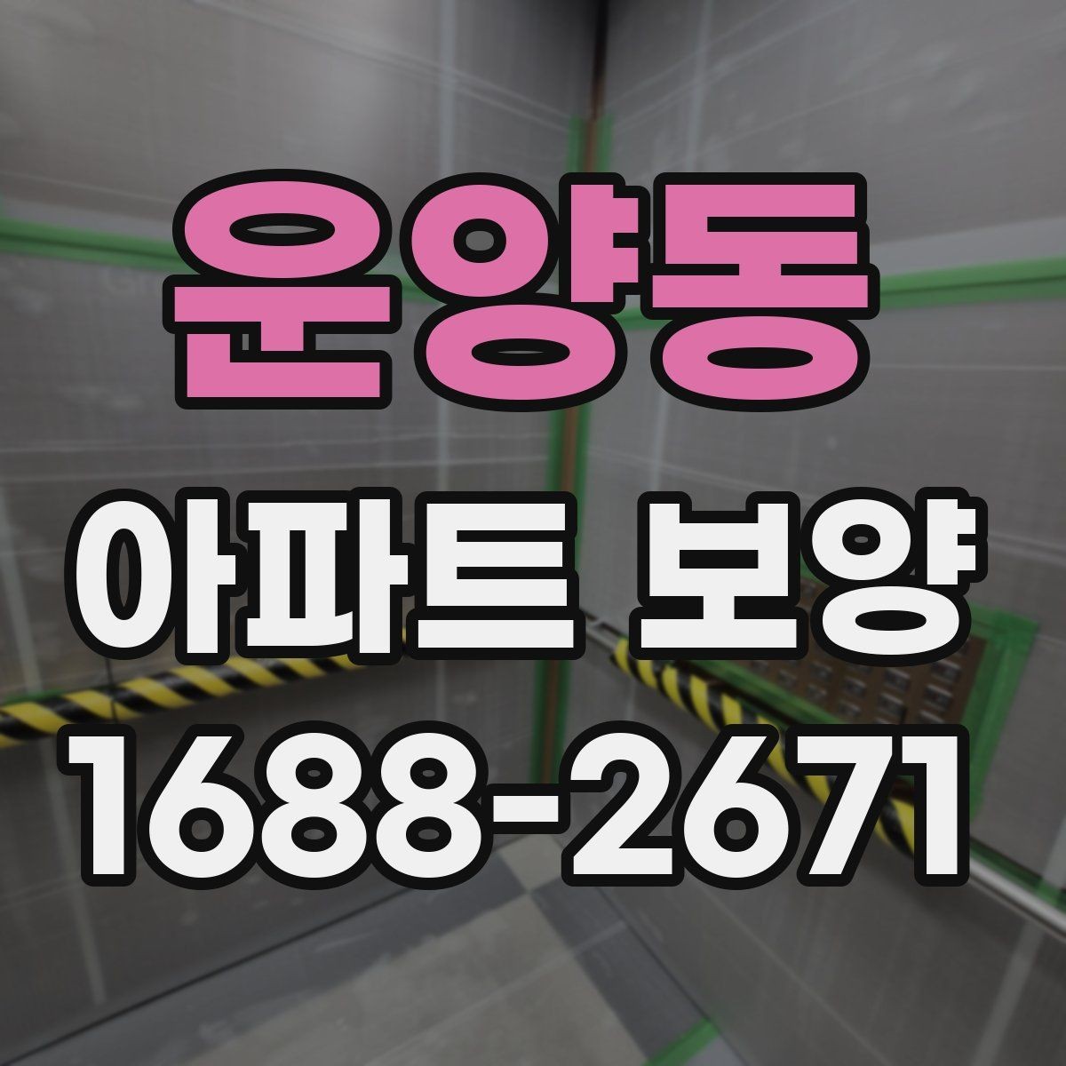운양동 아파트 보양 시 보호 범위를 정하는 방법