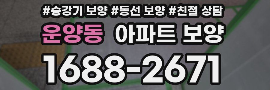 운양동 아파트 보양