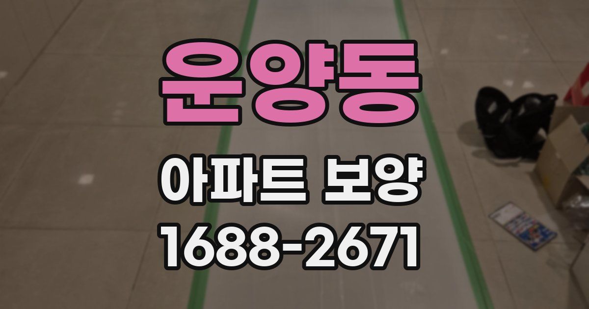 운양동 아파트 보양
