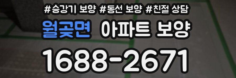 월곶면 아파트 보양